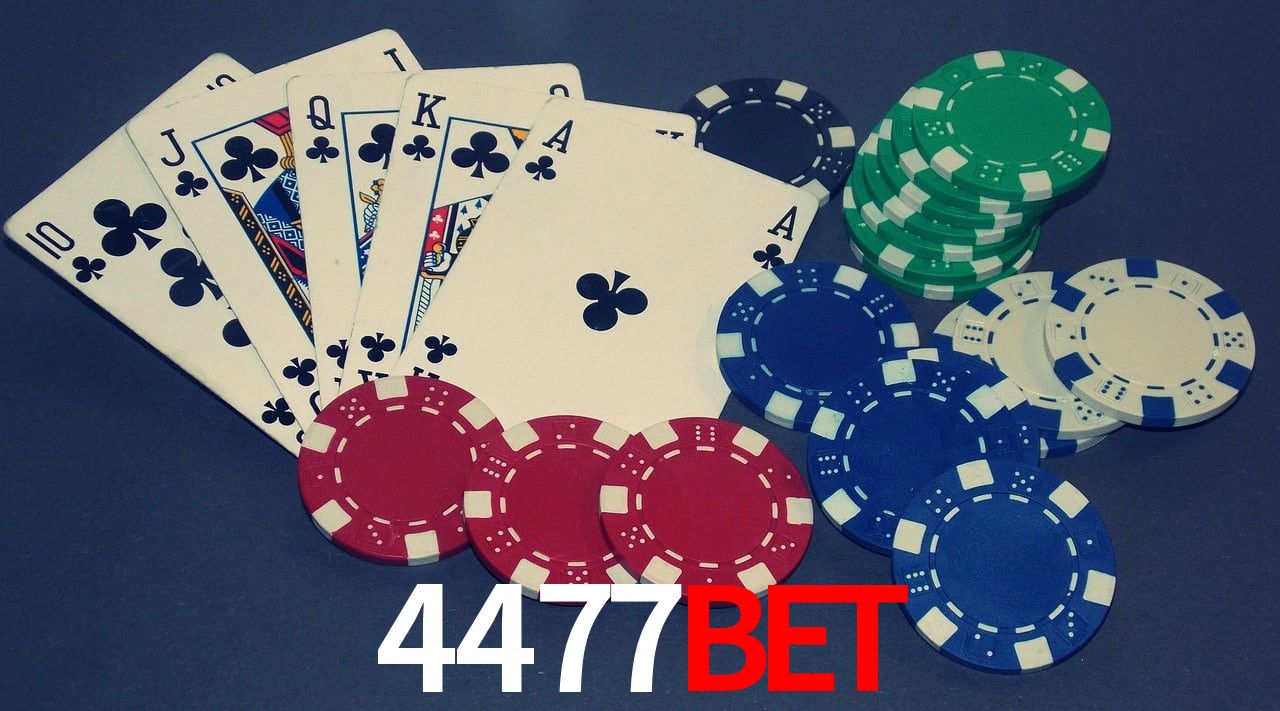 Live Casino 4477bet